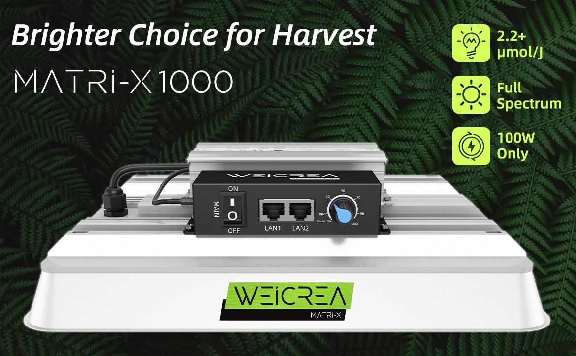 A100W-01
