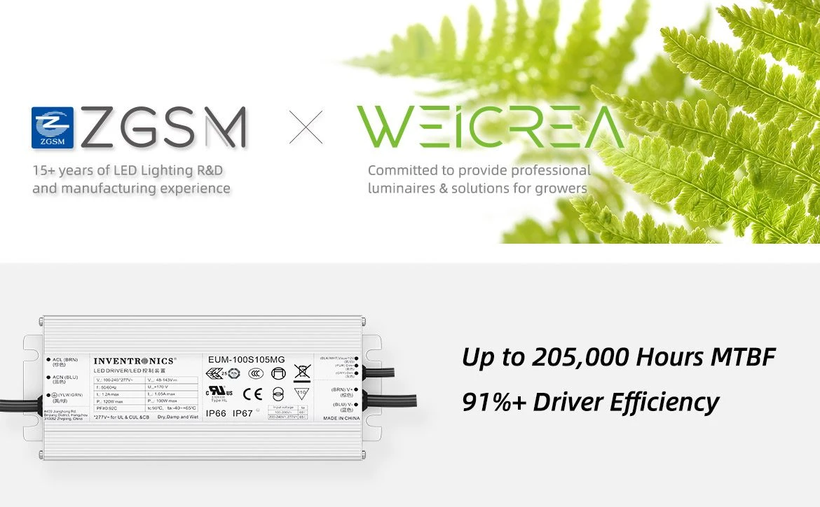 A100W-03