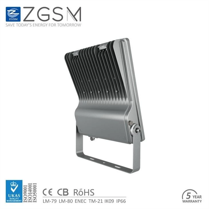 Warehouse LED Flood Light