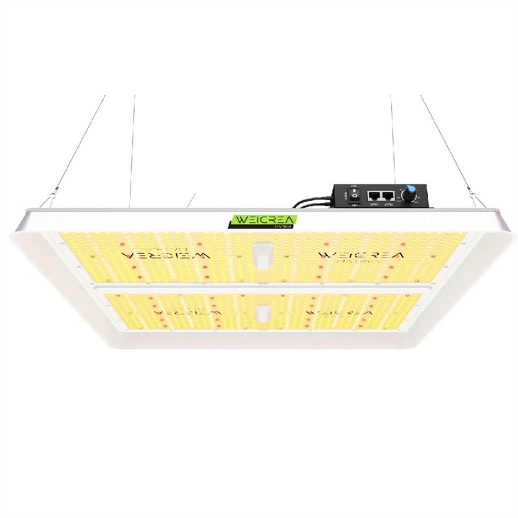 led grow light